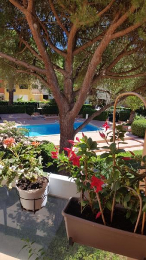 DUPLEX CAP D AGDE PISCINE